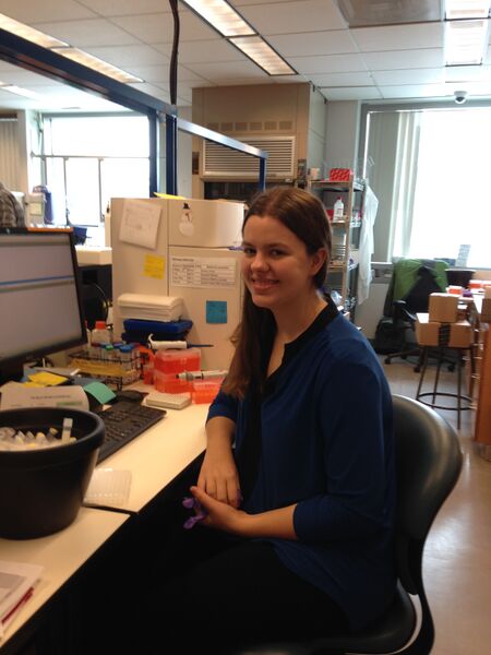 File:20160126 102243.JPG