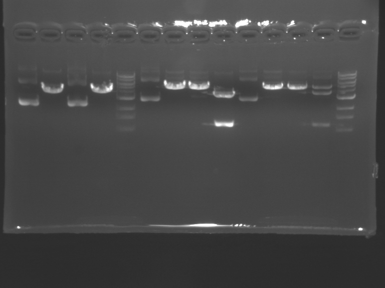 File:F08-M1D6 WF-Blue.BMP