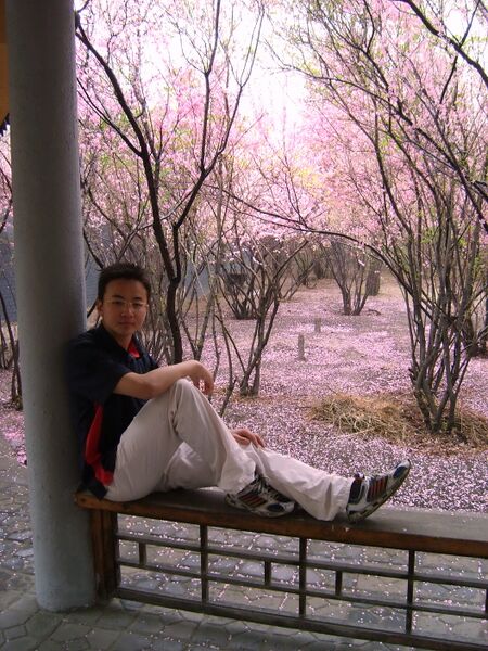 File:PKU Lu Yuanye.jpg