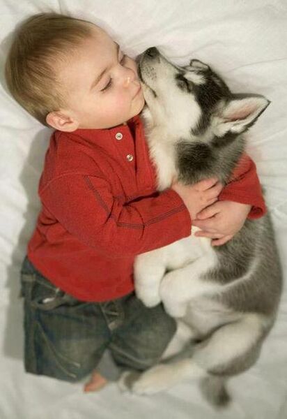 File:Puppy baby2.jpg