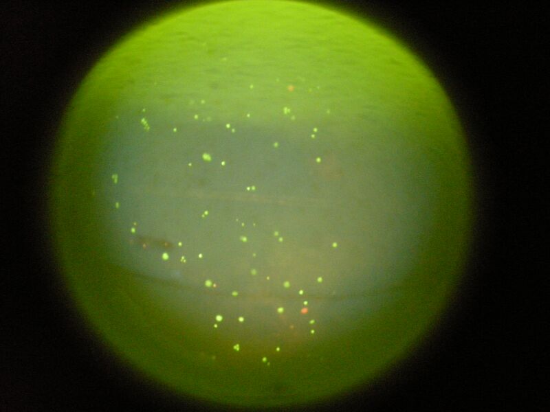 File:S14 TR M3D3 YlwPnk 03.jpg