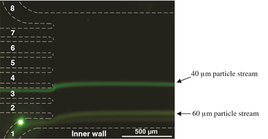 Figure 16. Large particle focusing [12]