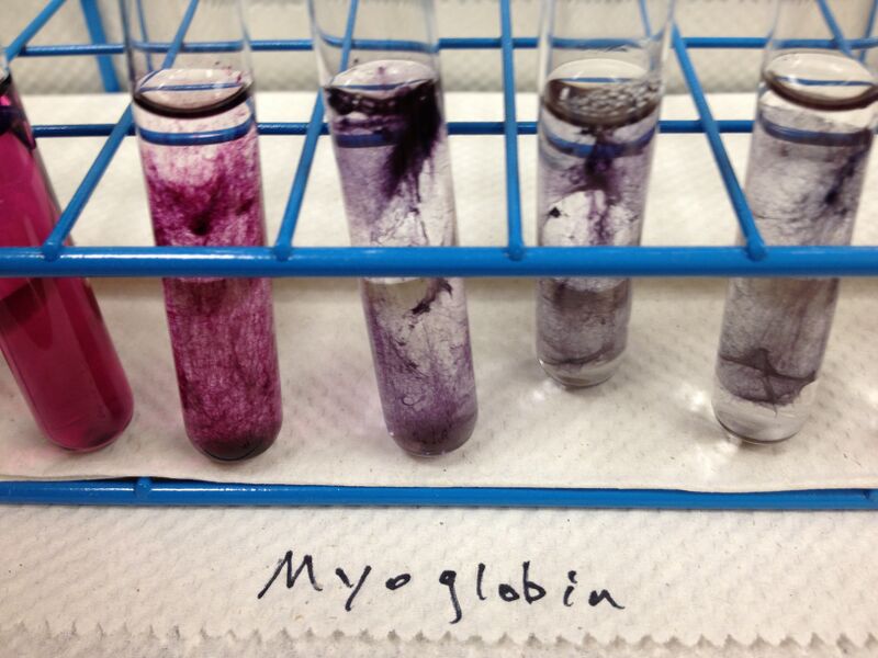 File:Myoglobin 2AuNPs20131206.jpg