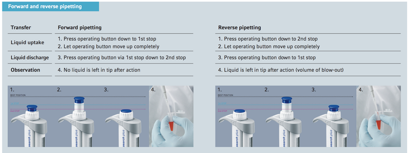File:Pipetting Techniques B.png