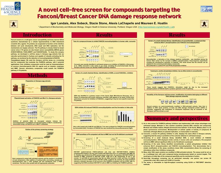 File:Poster XenAssay AACR 2007.jpg