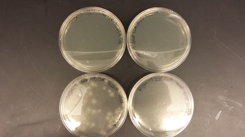 File:20141021 085610.jpg