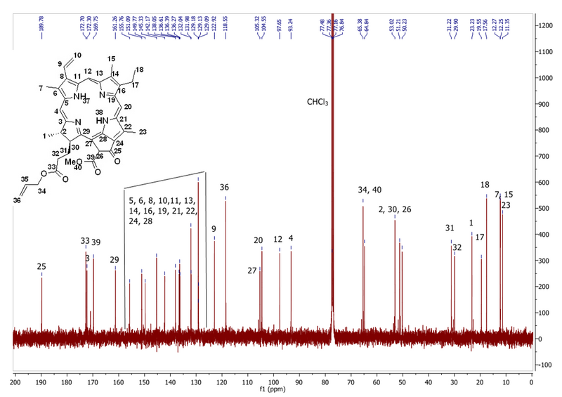 13C NMR for compound 8