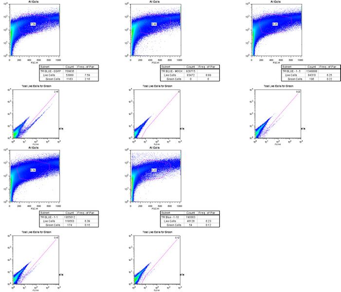 File:Blue TR Flow.jpg