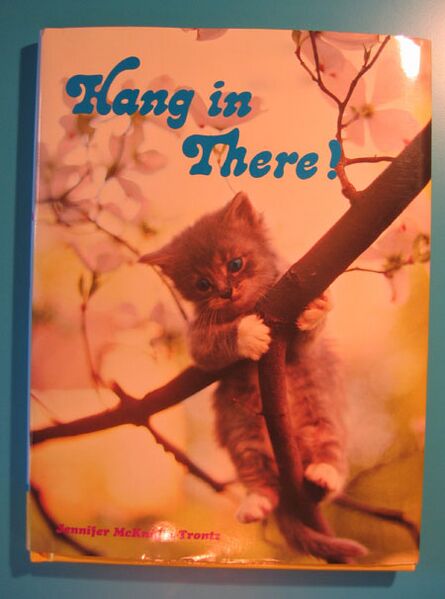 File:Book hanginthere.jpg