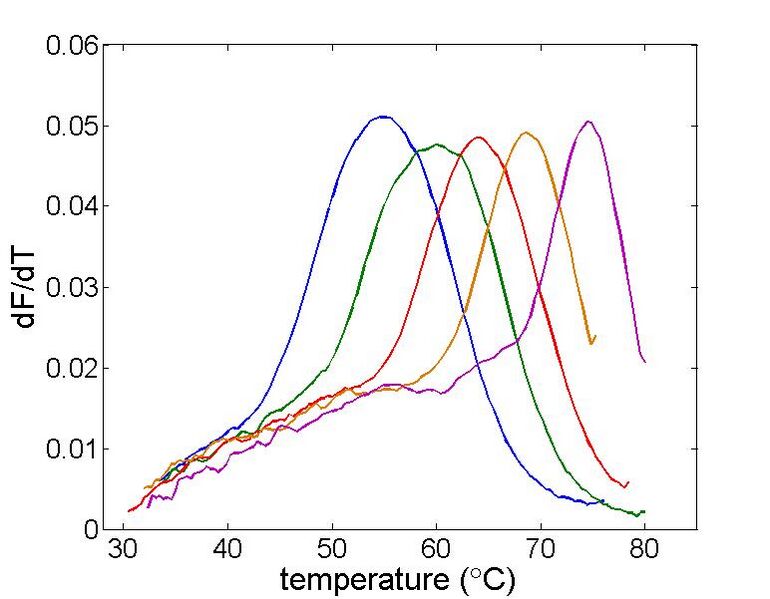 File:Example Melting Curve Derivative