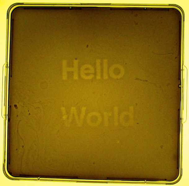 File:Hello world.tif