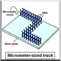 Figure.2:The schematic diagram of microchannel.