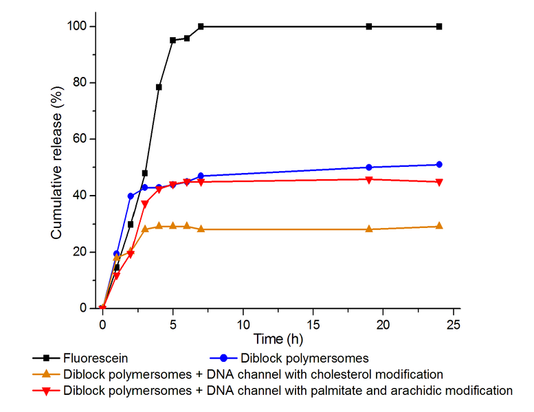 File:Pol2 dialysis.PNG