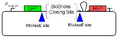 Thumbnail for version as of 02:21, 10 May 2006