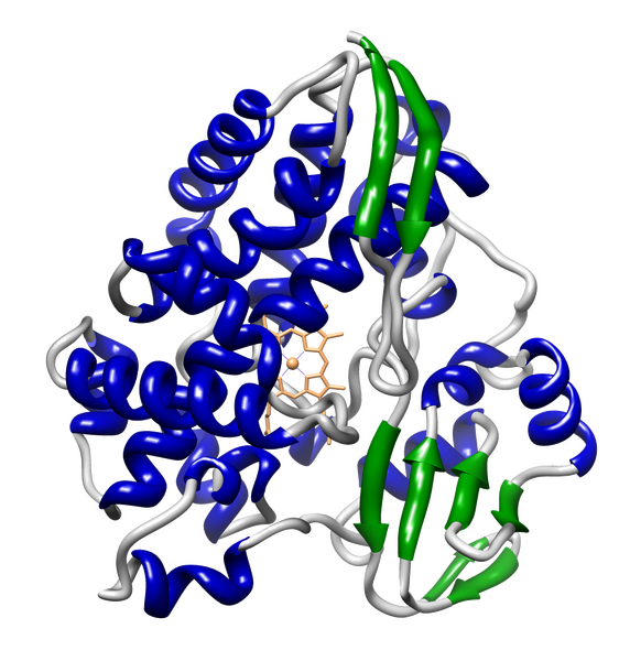 File:CYP119A1 fat.png