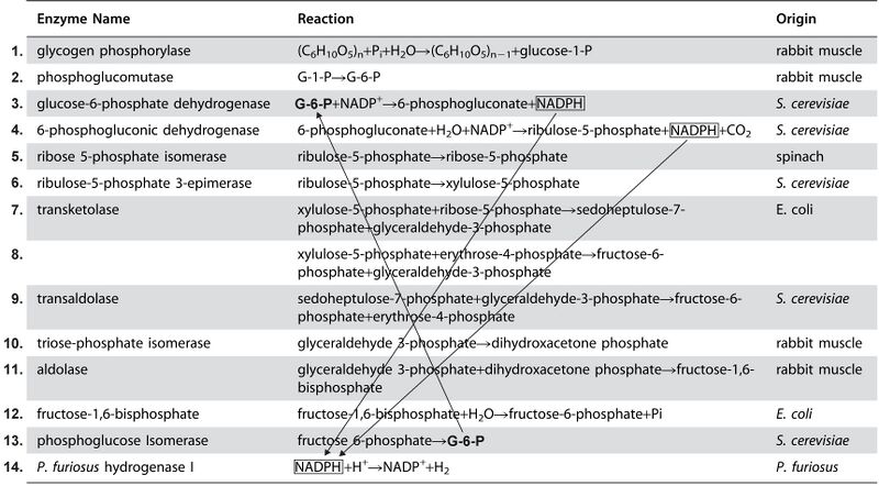 File:Enzymes2.jpg