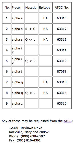 File:Epitope-Tagged G protein.tiff