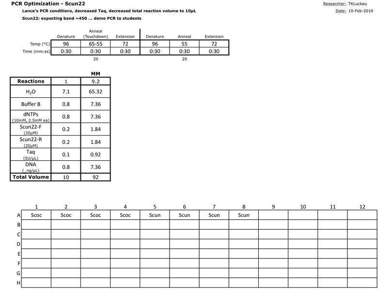 File:20110221 PCR.jpg