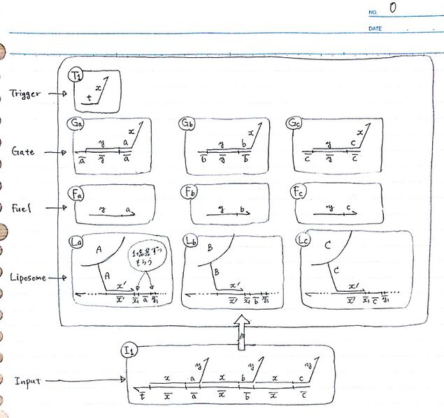 File:Enzyme-free System picture1.jpg