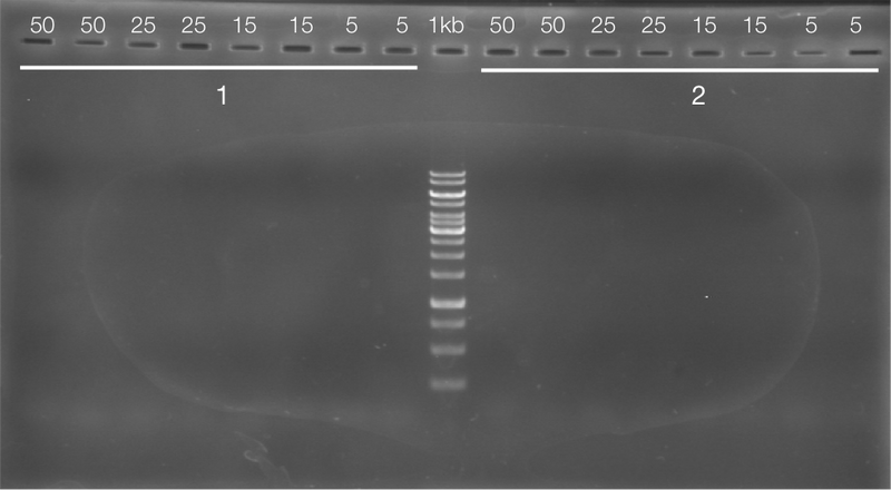 File:Soil 1 2 JC.png