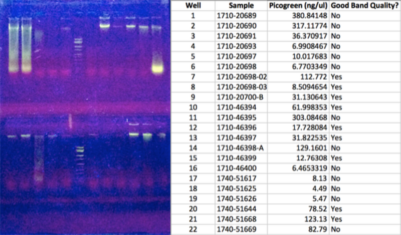 File:WIFL NAU 1710-20689.png