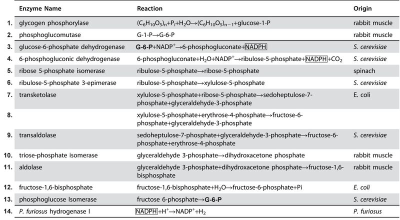 File:Enzymes5.jpg
