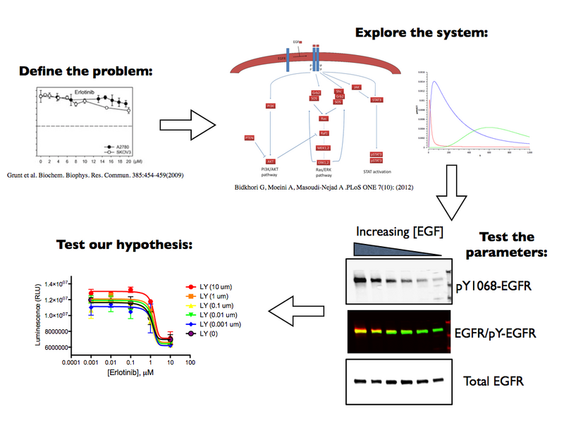 File:F1320109 Mod2 overview.png