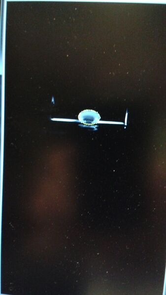 File:ImageJ positive.jpg