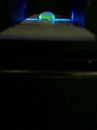 Description of image