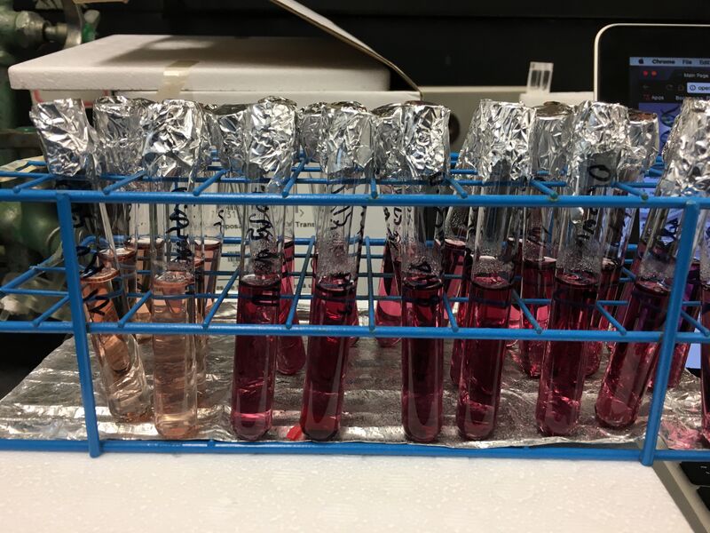 File:.25 uv vis fructose.jpg