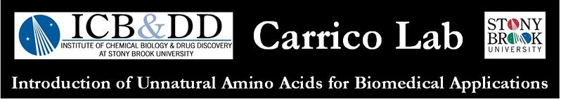 File:Carrico banner.jpg