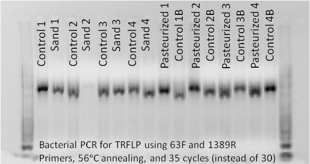 File:December 6,2012Gel.tif