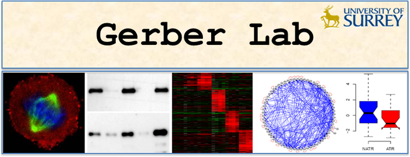 File:Gerber Banner 2015trim.png