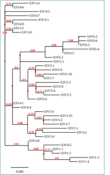 File:MAP Activity 2, subject 3.PNG