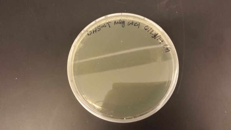 File:20140627 172057.jpg