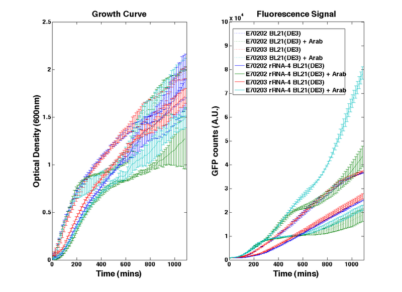 File:E7020x(Trial4)BL21Orthogonal Translation.png