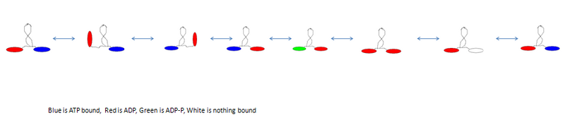 File:Larry's simpler model.png