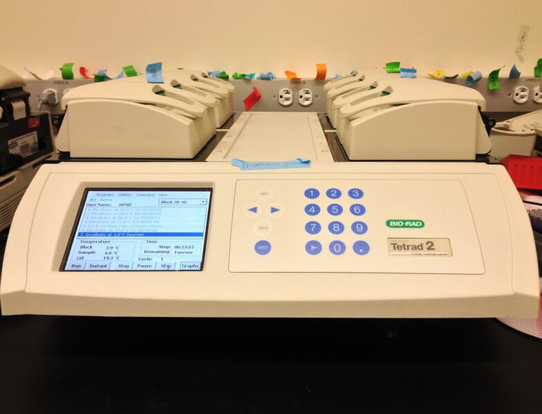 File:Pcrmachine.JPG