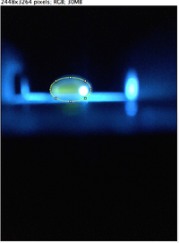 Positive Control Image