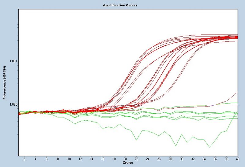 File:S12 M3D5 WF CNII-noiseband-corrected.jpg