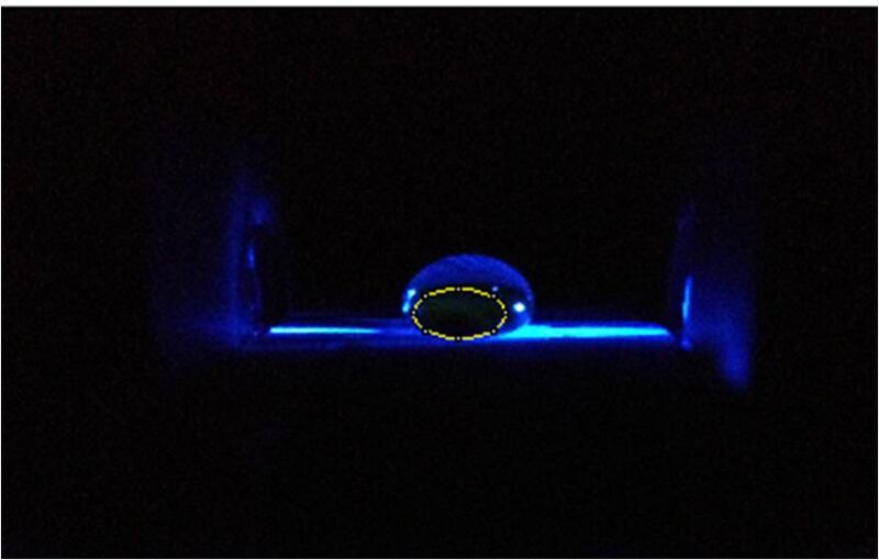 File:Shire no fluro.jpg