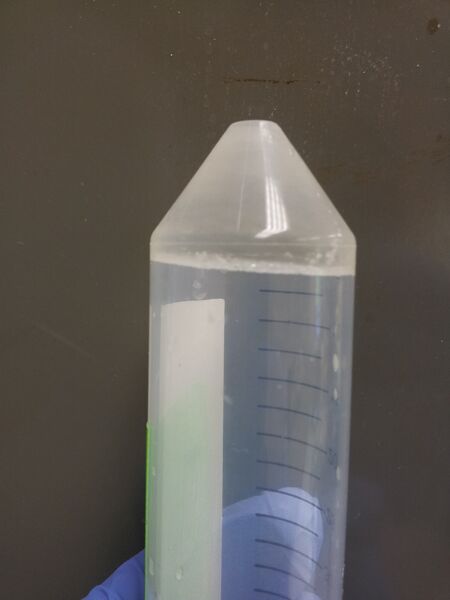 File:20120803 140821.jpg