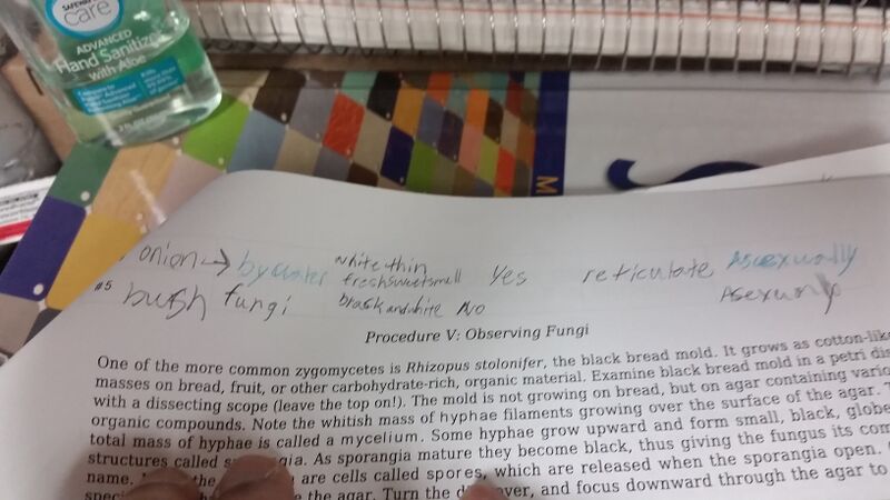 File:20160212 112154.jpg