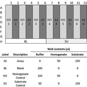 Layout for analyzing enzyme activity on seven subsamples from each of six replicate samples. Also see Steve's layouts of five or seven samples per tray [https://webfiles.nacs.uci.edu/allisons/public/Protocols/ColorimetricEnzymeAssays.pdf)