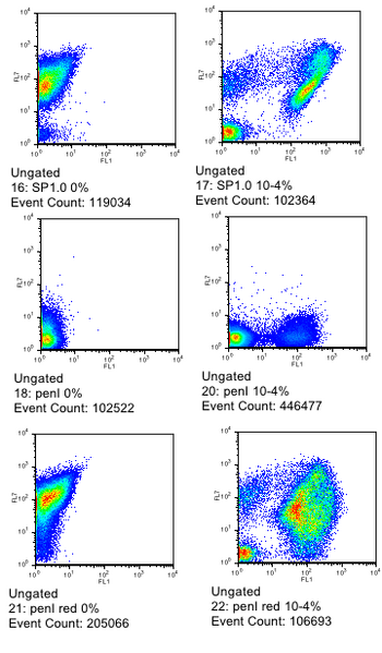 File:July6 2006 MOFLO.png