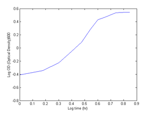 Log-Graph used to determine the growth rate