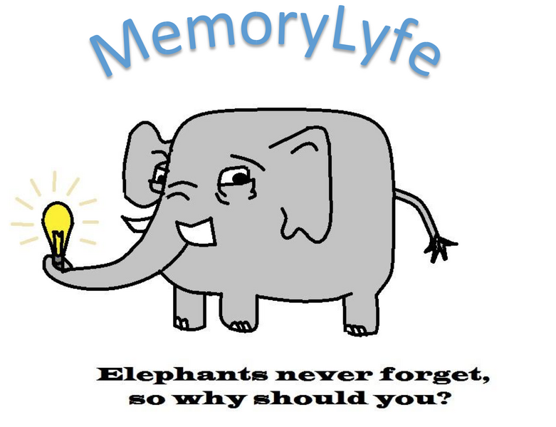 File:MemoryLyfe.png