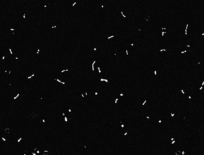 File:Noisy binary.tif