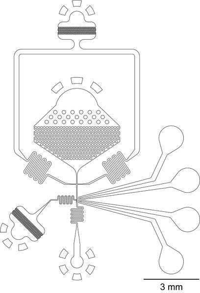 File:Picoinjection chip.jpg