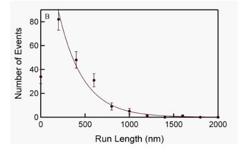 File:Rosenfeld run length.png